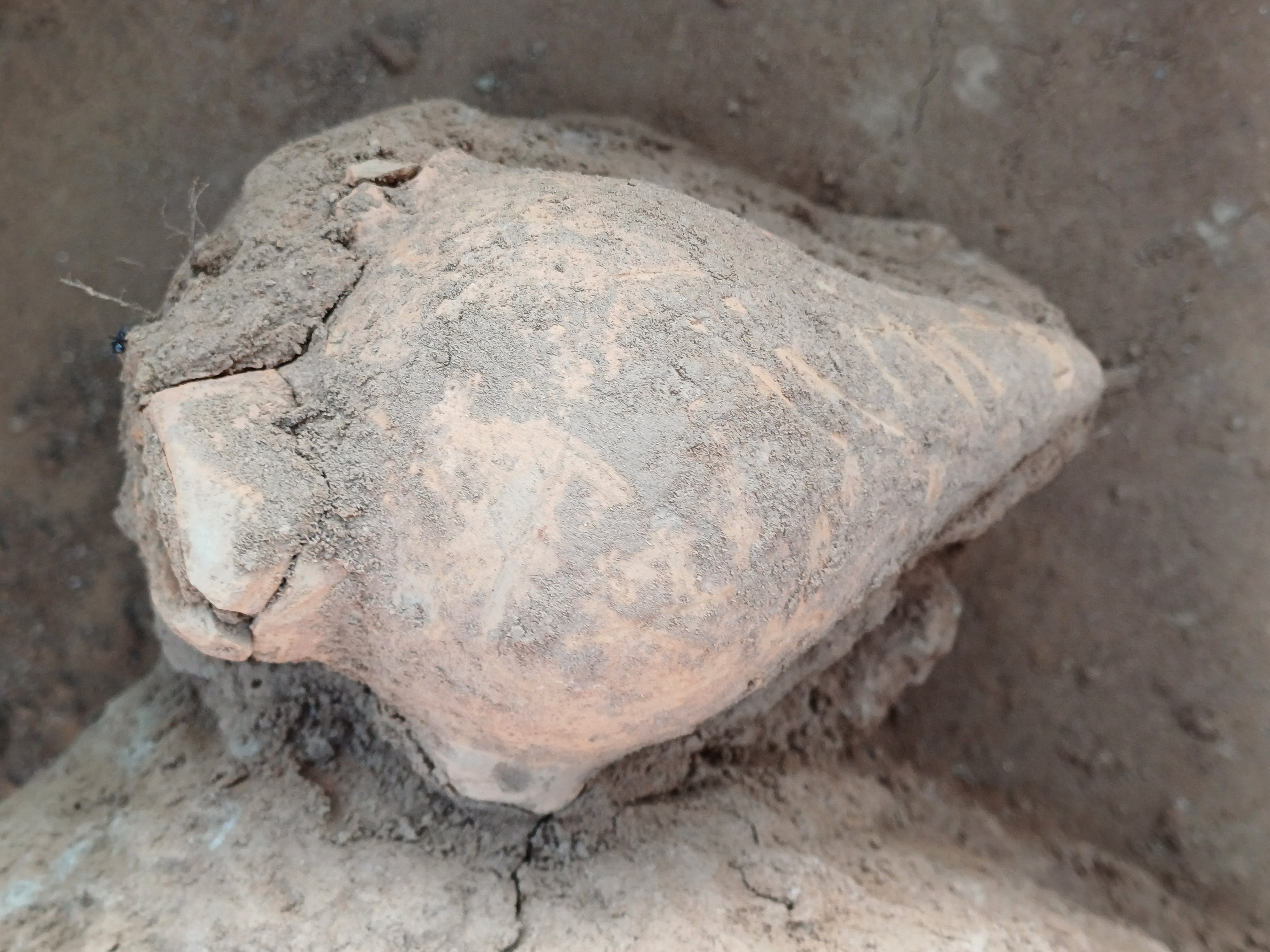 考古新发现裴李岗遗址发现目前距今最早的小口尖底瓶